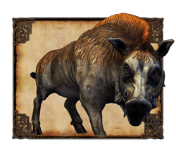 boar_small