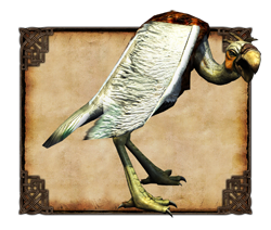 geiersmall